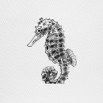 Морской Конек