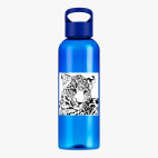 Прозрачная спортивная бутылка