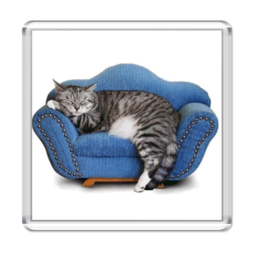 Магнит с принтом Кот на софе