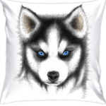 Сибирский хаски Siberian husky
