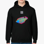 Толстовка худи