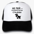 Кепки Trucker