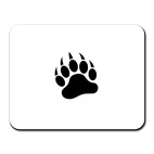 Лапа медведя