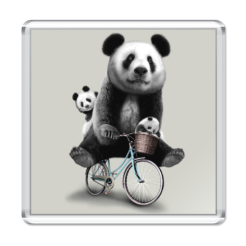 Магнит Панды на велосипеде