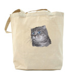 Холщовая сумка