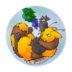 Пчёлокот - закогти!