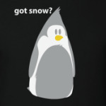Got snow