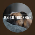 Высплюсение