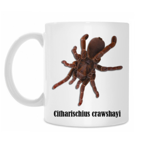 Кружка с принтом Crawschayi