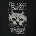 Самый разыскиваемый пакостник