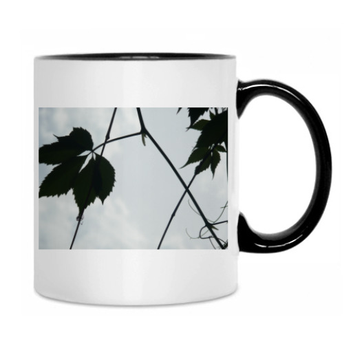 Кружка с принтом 'Листья'