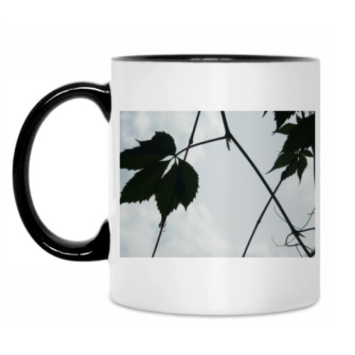 Кружка с принтом 'Листья'