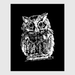 Ночная Сова