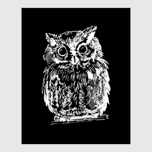 Постер с принтом Ночная Сова