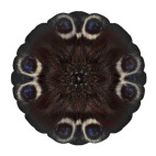 Хроники Акаши