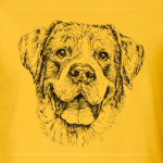 Собака / Год Собаки