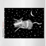 Черный енот