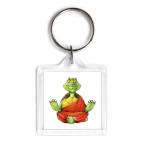 Черепаха на медитации