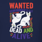 Кот Шрёдингера