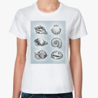 Ракушки в цвете