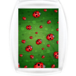 Божьи коровки