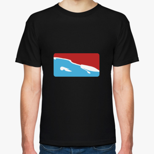 Футболка Quidditch