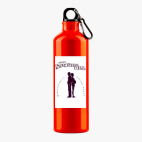 Металлическая бутылка 700 мл UV-DTF