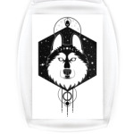 Хаски, познавший Вселенную