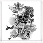 Череп-кальмар