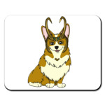Корги Локи