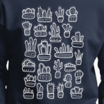 Коллекция смешных кактусов в горшочках