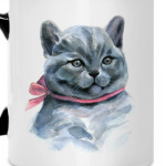 Шотландский котик