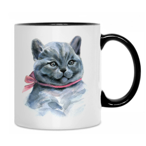 Кружка с принтом Шотландский котик