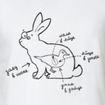 Заяц в шоке