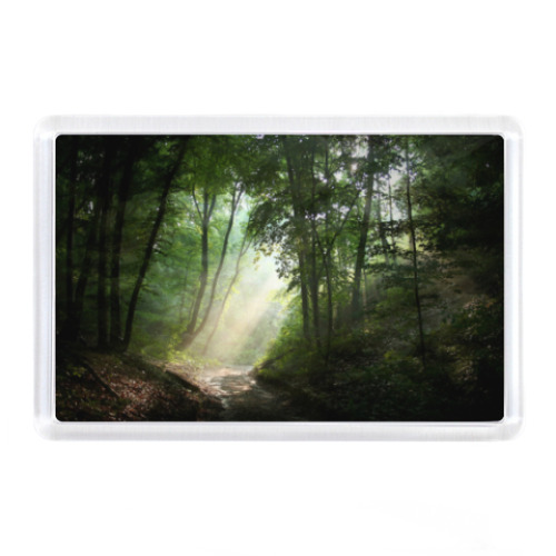 Магнит с принтом Утро в лесу