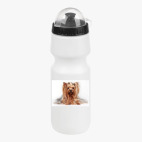 Велобутылка