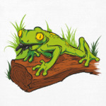 Лягушка с мухой