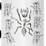 Металлические Муравьи