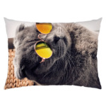 Кот-хитпстер