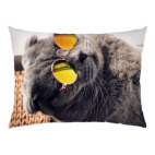 Кот-хитпстер