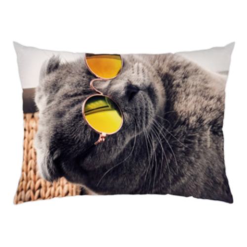 Подушка с принтом Кот-хитпстер