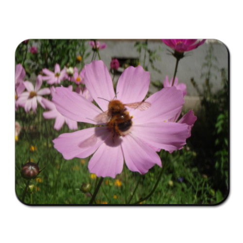 Коврик для мыши  'Пчелка'