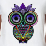 Совы. Совушки. Owl. Owls.