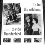 'The wild one'