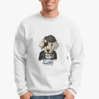 Пиратский собака