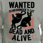 Кот Шрёдингера