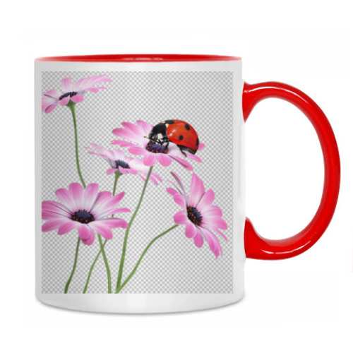 Кружка Красота