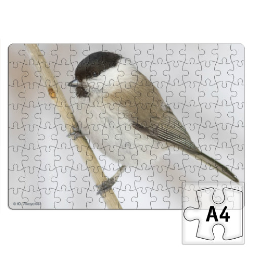 Пазл с принтом Буроголовая гаичка