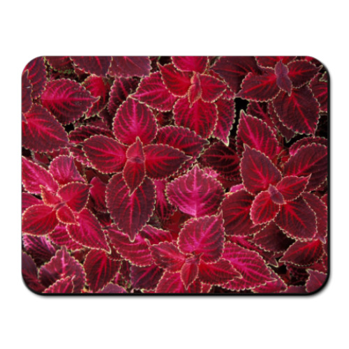 Коврик для мыши с принтом цветы