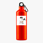 Металлическая бутылка 700 мл UV-DTF